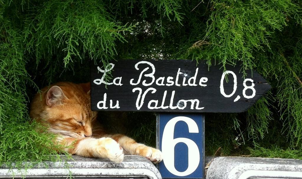 La Bastide Du Vallon Pensionat Saumane-de-Vaucluse Exteriör bild