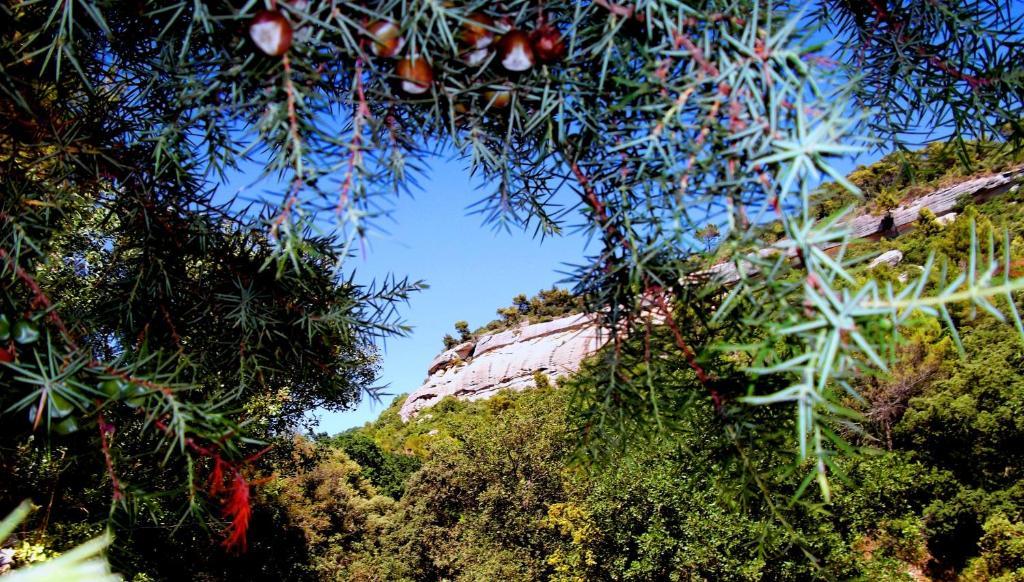 La Bastide Du Vallon Pensionat Saumane-de-Vaucluse Exteriör bild